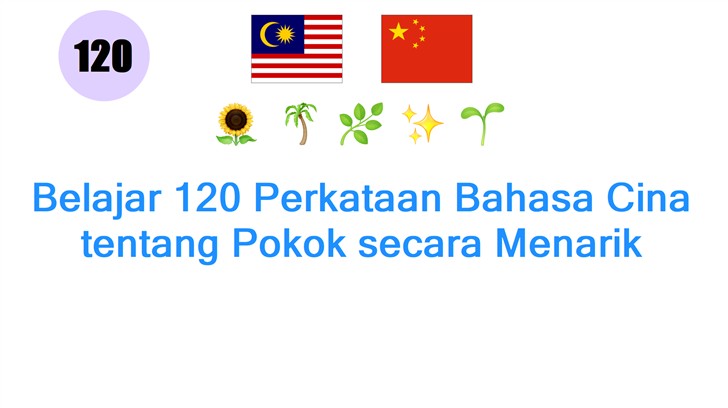 Belajar 120 Perkataan Bahasa Cina tentang Pokok secara Menarik Belajar 120 Perkataan Bahasa Cina tentang Pokok secara Menarik